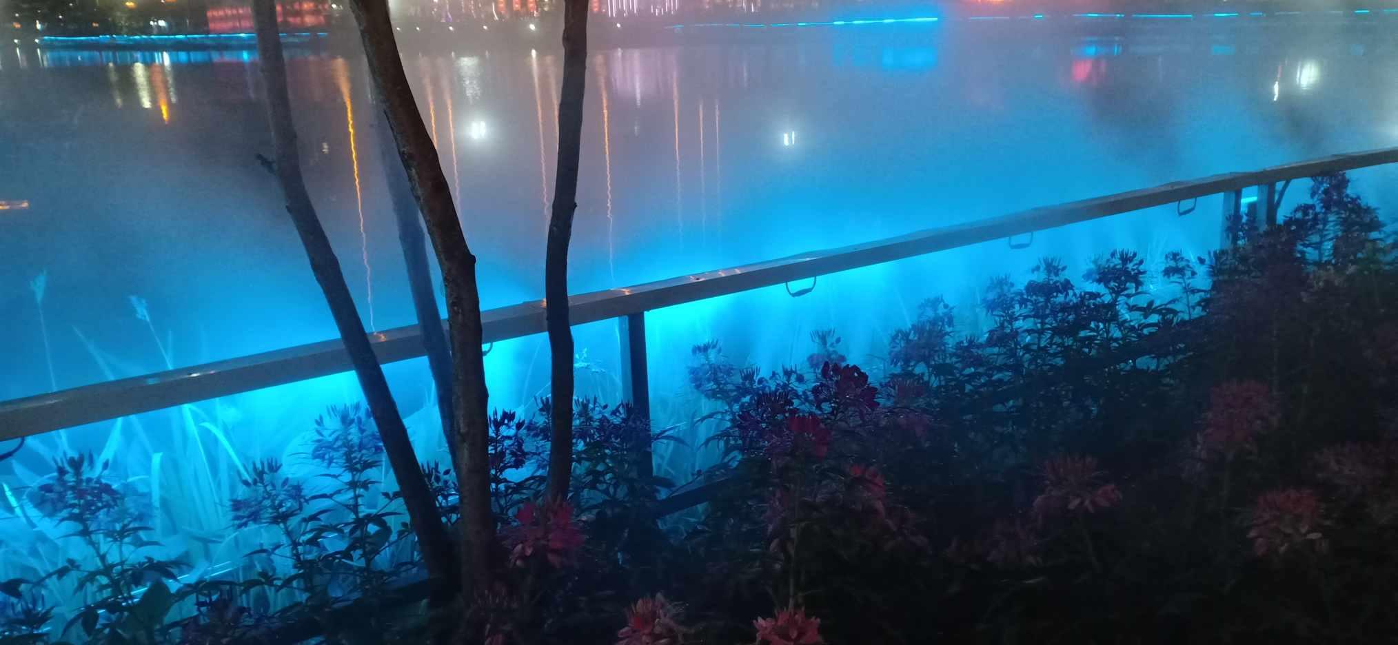 拯救精灵的土地9